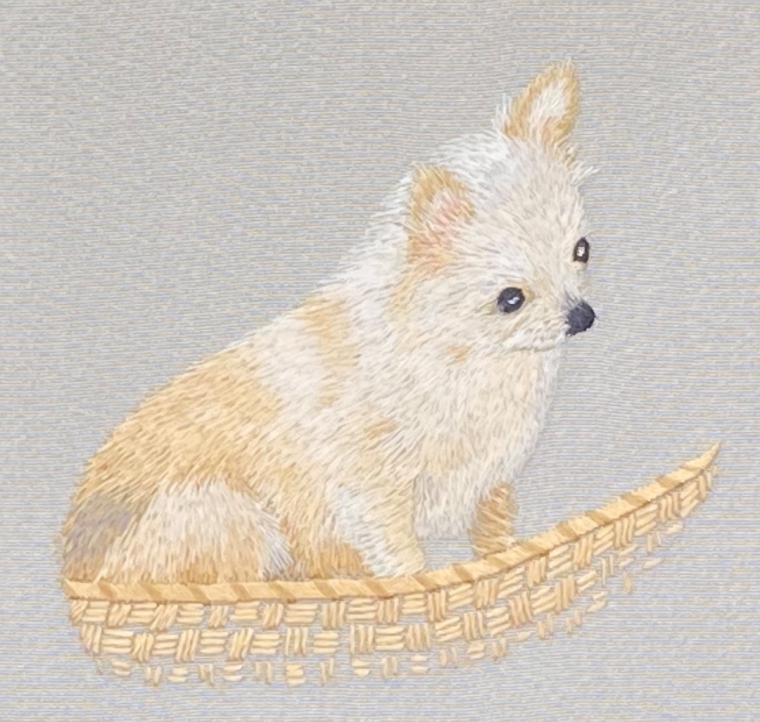チワワ2